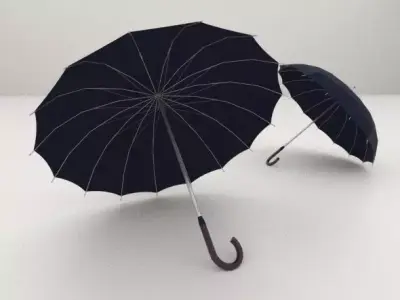 10 Umbrellas package 3D model