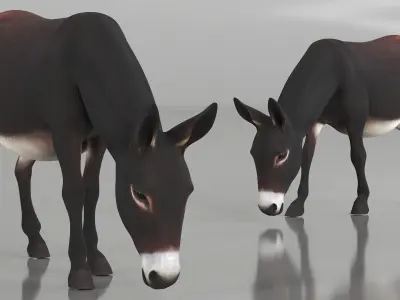  Domestic Donkey Animal Dark Brown Rigged for Maya 