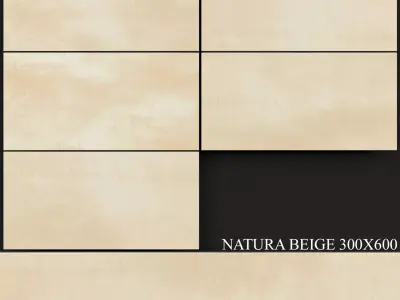 Keros Natura Beige 300x600 3D model