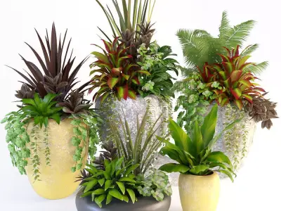 Plant in bowl 3D model