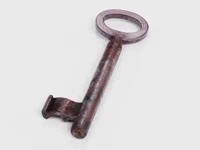 Key V1 - Rusty Hollow Barrel Skeleton Key 3D model