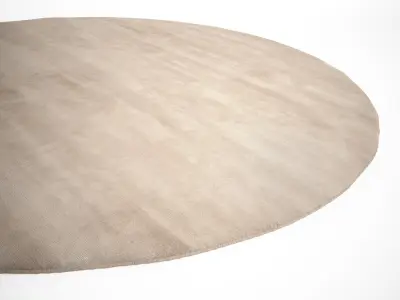 Punk Round Rugs 3D model