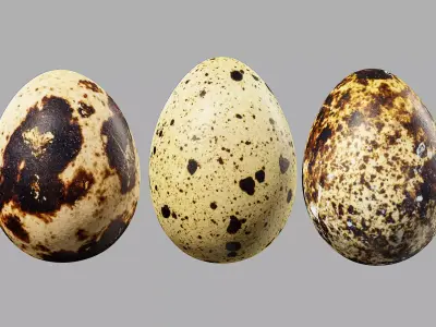 Three Quail Eggs - Photorealistic Scan Low-poly 3D model