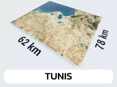 Tunis Tunisia City Landscape 3D Model 3D model