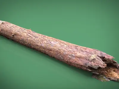 TREE TRUNK Low-poly 3D model