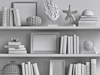 Decor Set 2 bookshelves with seashells 3D model