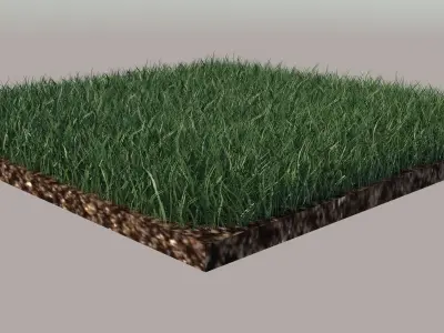 Grass and gravel 3D model