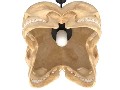 Skull Lamp 3D model