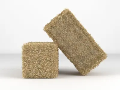 Hay Bale 3D model