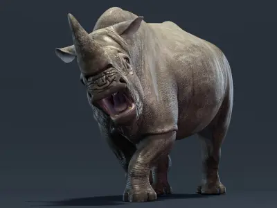  Rhino Family Animated 