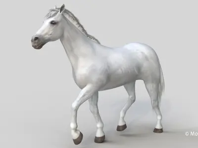  Horse PRO White 