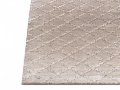 Edina Rug 3D model