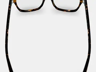 Landon Eyeglasses in Whiskey Tortoise 3D model