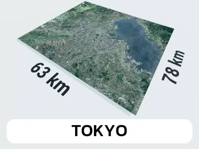 Tokyo Japan City Landscape 3D Model 3D model