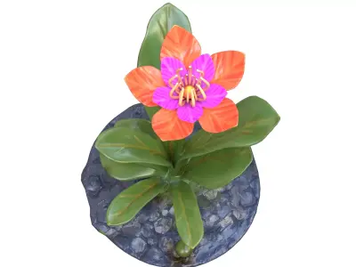 Stylized Cyberpunk Alien Plants Vegetation Grass Flower Mushroom Low-poly 3D model