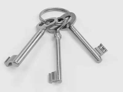 Set of New Keys - 3 Unique Skeleton Keys on Keychain Ring 3D model
