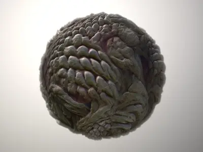 Material Skin Monster 34 Seamless PBR Texture Texture