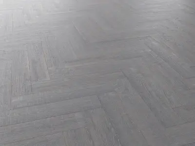 Parquet Oak Portland Wildwood set 4 3D model