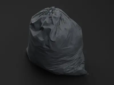 Plastic Garbage Bag 3D model