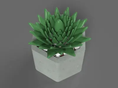 Succulent in a pot 3D model