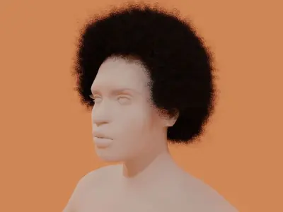 Afro Black Hair 3D model