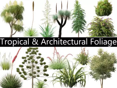 Tropical Architectural Foliage Pack 51 3D model