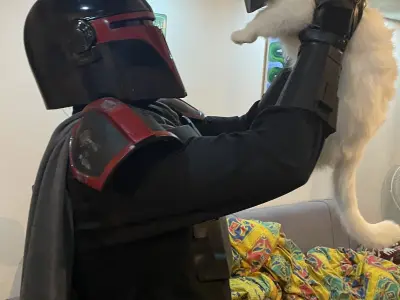 Mandalorian Cat Helmet 3D print model