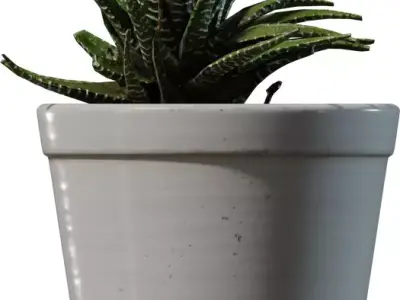 Game Ready Potted Succulent  Low-poly 3D model