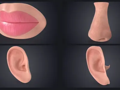  Lips Ears Nose Collection Bundle 