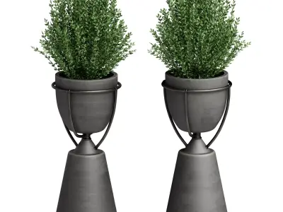 Floor vase with plant Kashpo 3D model