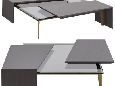 CENTER TABLE PAWSON Low-poly 3D model