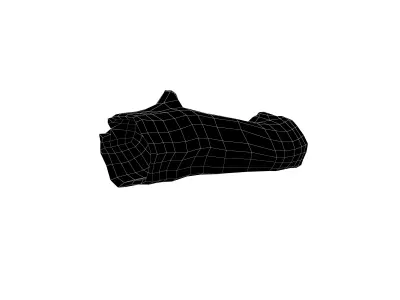 Fallen Tree Trunk v1 003 Low-poly 3D model