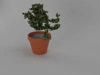 Garden Plant 3D model