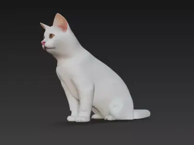 White Cat - Realistic Animal Sculpture and CGI Free 3D print model