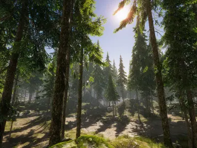 Hazy Hills - Conifer Forest Low-poly 3D model