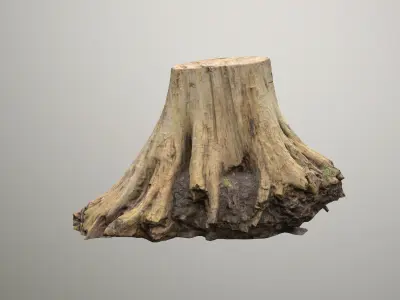 Big Tree Stump Low-poly 3D model