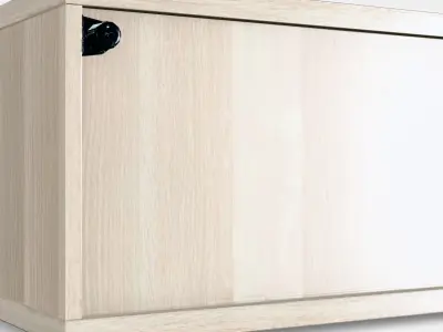 BESTA Shelf unit with door 11 Low-poly 3D model