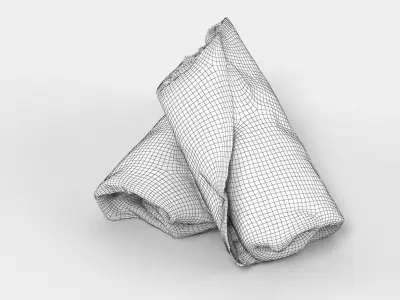 Sandwich Wrap 3D model