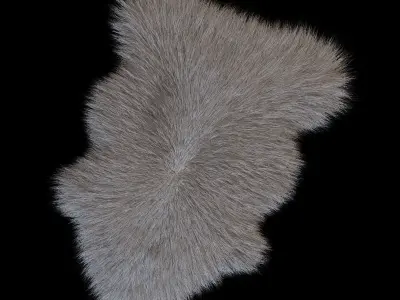 Skin sheepskin 3D model