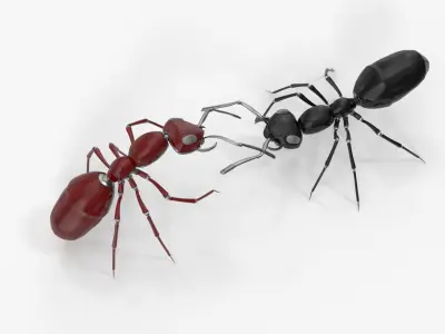 Robot ants 3D model