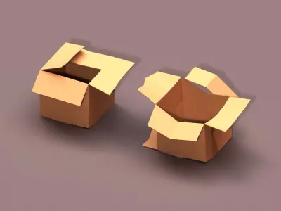 Post Apocalyptic Cardboard Box and Garbage Low-poly 3D model