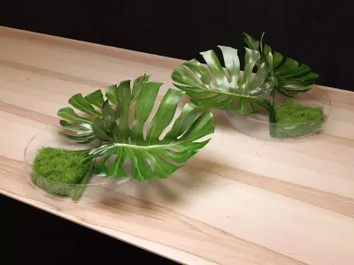 Philodendron Dianthus Vessel 3D model