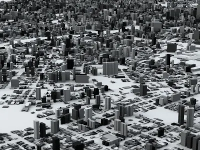 Sao Paulo Streets and Buildings 3D model