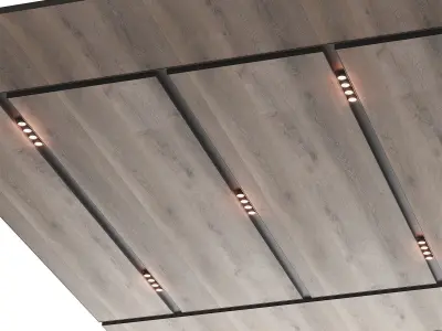 Wooden suspended ceiling with lighting 56 3D model