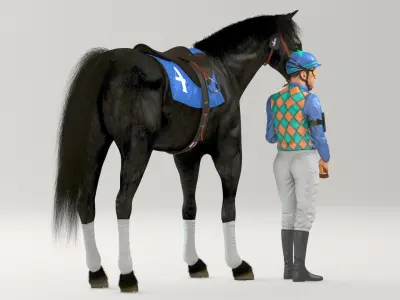  Racehorse and Jockey HQ 003 Standard License 