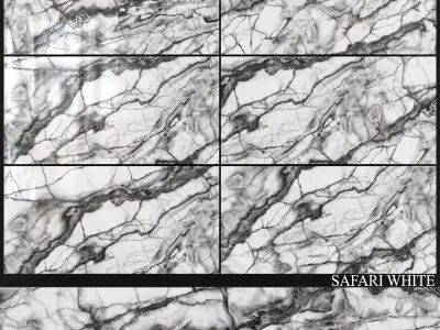 Decovita Safari White 600x1200 3D model