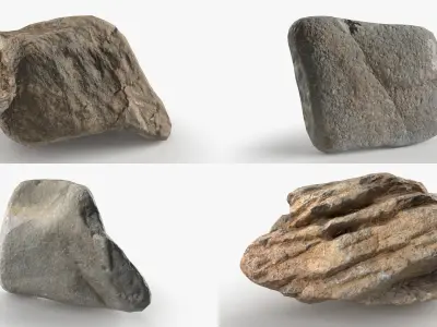  River Stones Collection StemCell 