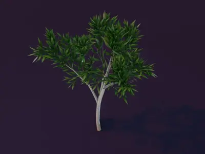 Cartoon Eucalyptus Tree 3D Model Low-poly 3D model