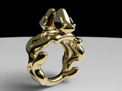 The Bird Ring 3D model