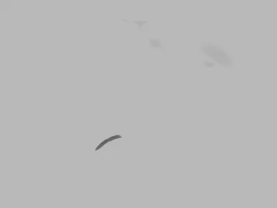 the braniac Low-poly 3D model